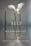 Self and Emotional Life: Philosophy, Psychoanalysis, and Neuroscience (Insurrections: Critical Studies in Religion, Politics, and Culture) (en Inglés)