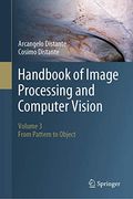 Handbook of Image Processing and Computer Vision: Volume 3: From Pattern to Object (en Inglés)