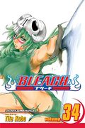 bleach 34,king of the kill