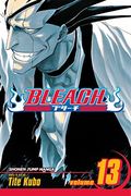 bleach 13,the undead