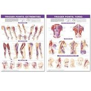 trigger point chart set,torso and extremities