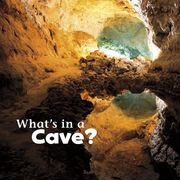 What's in a Cave? (en Inglés)