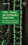 Firms, Finance and Sustainable Transitions: The Financial Constraints of Eco-Innovation Companies (en Inglés)