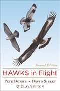 hawks in flight - Sibley, David ; Sutton, Clay - Mariner Books