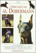 Como Educar al Dobermann