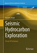 Seismic Hydrocarbon Exploration: 2D and 3D Techniques