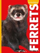 Curious About Ferrets (Curious About Pets) (en Inglés)
