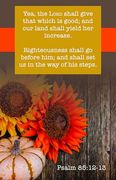 Thanksgiving Bulletin: That Which is Good (Package of 100): Psalm 85: 12-13 (Kjv) (en Inglés)