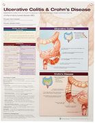 Ulcerative Colitis & Crohn's Disease Anatomical Chart Laminated (en Inglés)