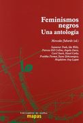 Feminismos Negros: Una Antología