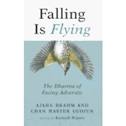 Falling is Flying: The Dharma of Facing Adversity