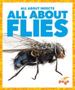 All about Flies (en Inglés)