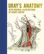 Gray'S Anatomy: With Original Illustrations by Henry Carter (Arcturus Gilded Classics) (en Inglés)