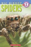 Spiders (Scholastic Reader, Level 2: Nic Bishop #2) (en Inglés)