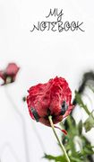Not 13X20 (libro en Inglés) - Eleftheria Louka - Blurb