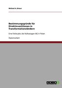 Bestimmungsgründe für Direktinvestitionen in Transformationsländern (German Edition)