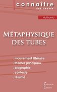 Fiche de lecture Métaphysique des tubes de Amélie Nothomb (Analyse littéraire de référence et résumé complet) (en Francés)