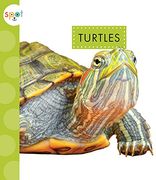 Turtles (Spot Pets) (en Inglés)