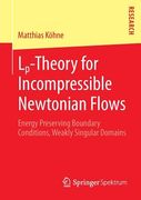 lp-theory for incompressible newtonian flows: energy preserving boundary conditions, weakly singular domains