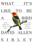 What It's Like to be a Bird: What Birds are Doing, and Why--From Flying to Nesting, Eating to Singing (en Inglés)