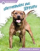 Staffordshire Bull Terriers (Dog Breeds)