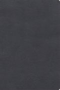 Rvr 1960 Biblia de Estudio Letra Gigante, Gris, Símil Piel