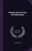 Wonder Stories From the Mabinogion (en Inglés)