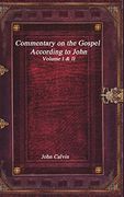 Commentary on the Gospel According to John (en Inglés)