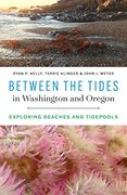 Between the Tides in Washington and Oregon: Exploring Beaches and Tidepools (en Inglés)