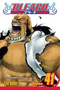 bleach, volume 41