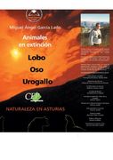 Animales en extinción: lobo, oso, urogallo. Colección Universidad en Español (Colección 617) (in Spanish)