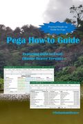 Pega How-to Guide: Exporting Data to Excel (Master Beaver Version) (en Inglés)