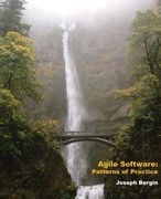 Agile Software: Patterns of Practice (en Inglés)