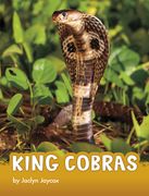 King Cobras (en Inglés)