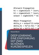 Deep Learning, eine Einführung mit zwei schönen Kurzbeispielen (en Alemán)