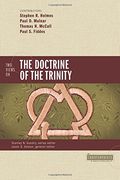 Two Views on the Doctrine of the Trinity (Counterpoints: Bible and Theology) (en Inglés)