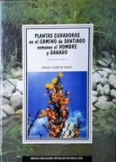 Plantas Curadoras en el Camino de Santiago Comunes al Hombre y ga Nado