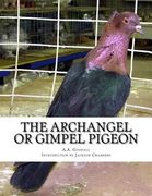 The Archangel or Gimpel Pigeon: Pigeon Breeds Book 8 (en Inglés)