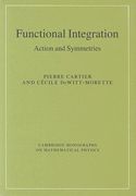 Functional Integration Hardback: Action and Symmetries (Cambridge Monographs on Mathematical Physics) (en Inglés)