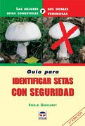 guia para identificar setas con seguridad