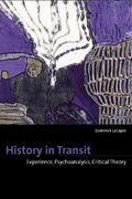 history in transit: experience, identity, critical theory