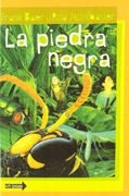 La Piedra Negra