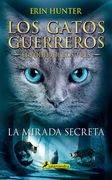 La Mirada Secreta / The Sight (in Spanish)