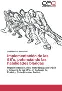 Implementación de las 5S’S, Potenciando las Habilidades Blandas: Implementación, de la Metodología de Orden y Limpieza de las 5S’S, en Bodegas de Codelco Chile División Andina (in Spanish)