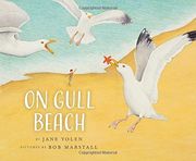 On Gull Beach (on Bird Hill and Beyond) 