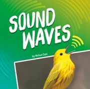 Sound Waves (en Inglés)