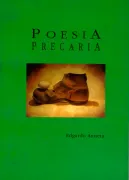 Poesía precaria