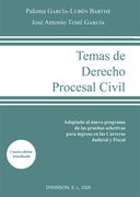 TEMAS DE DERECHO PROCESAL CIVIL 4 (en Castellano)