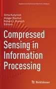 Compressed Sensing in Information Processing (en Inglés)