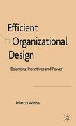 Efficient Organizational Design: Balancing Incentives and Power (en Inglés)